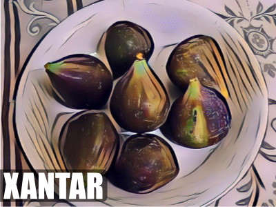 xantar